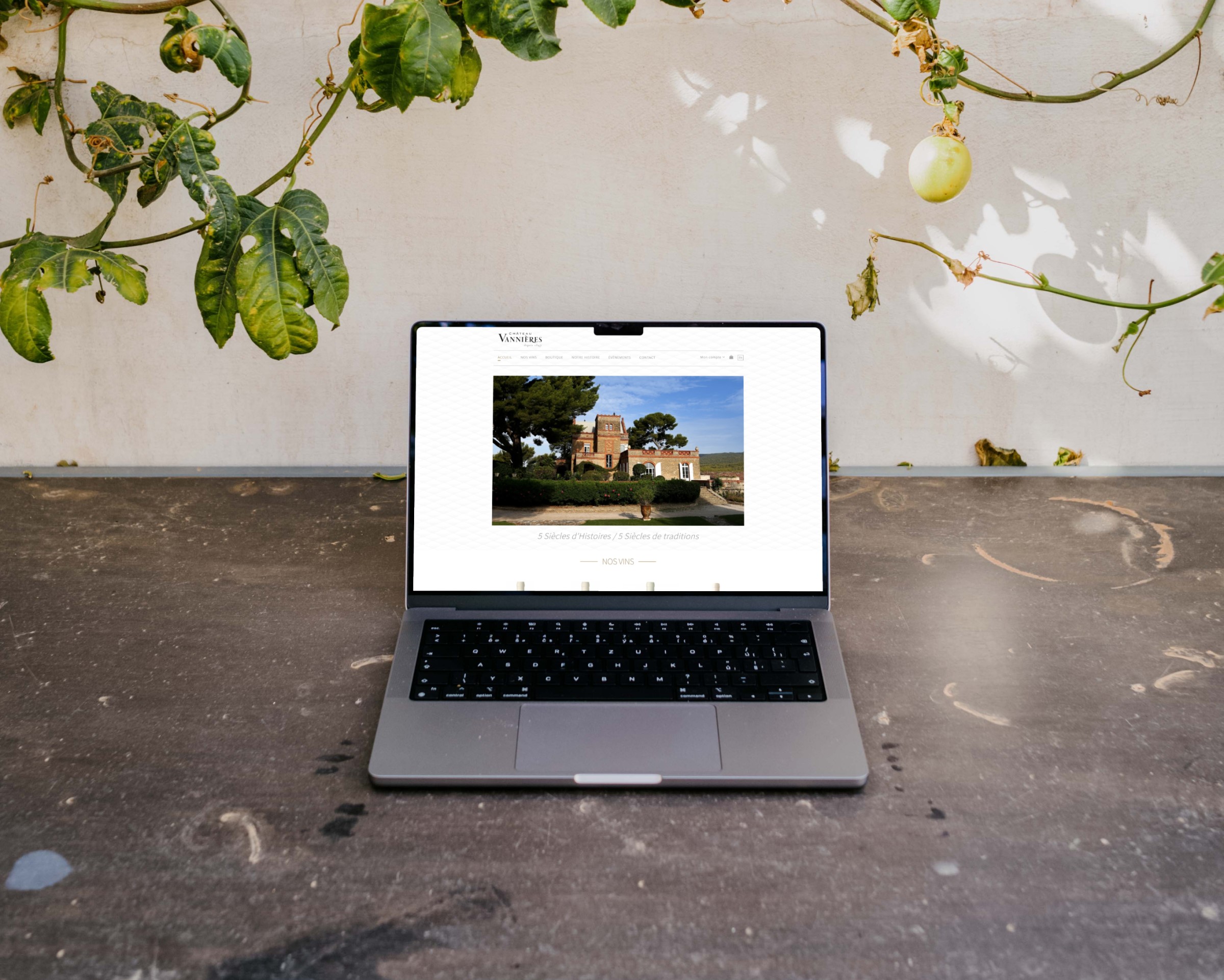 Fusion de tradition et modernité dans cette création de site Création site e-commerce Marseille pour Château Vannières