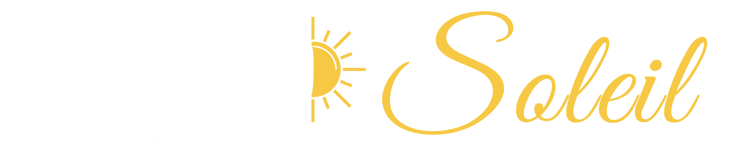 Création site internet Marseille pour Immo Soleil